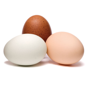 Mai mettere le uova nel forno a microonde Che cosa non si dovrebbe mai fare nel vostro microonde